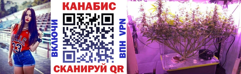 Как найти наркотики Гороховец Галлюциногенные грибы Меф ГАШ Конопля