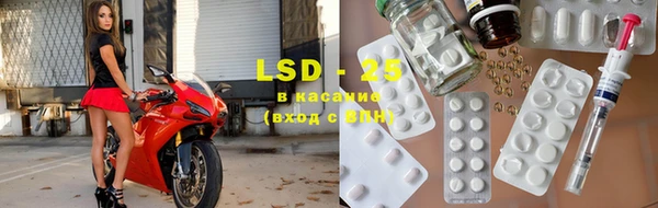 ПСИЛОЦИБИНОВЫЕ ГРИБЫ Богданович