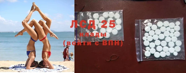 ПСИЛОЦИБИНОВЫЕ ГРИБЫ Богданович