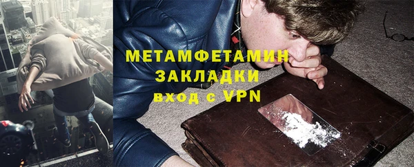 ПСИЛОЦИБИНОВЫЕ ГРИБЫ Богданович